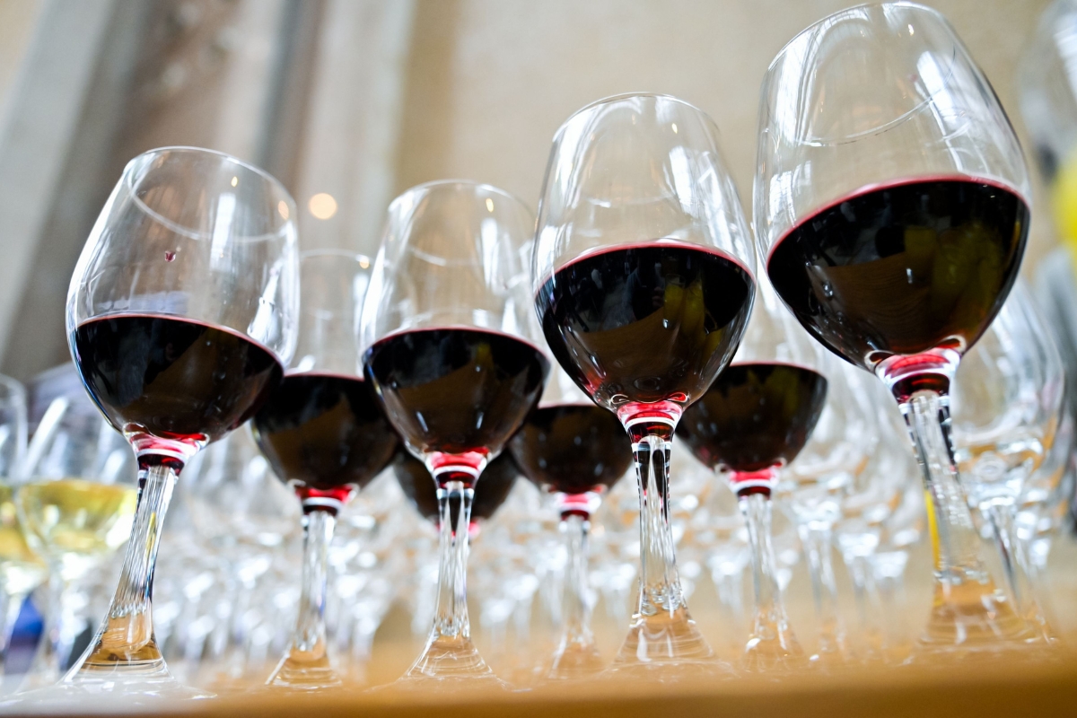 wine-glasses-poured-for-a-tasting